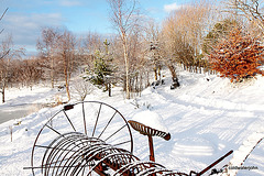 Snowploughed paths again this morning 5234824512 o