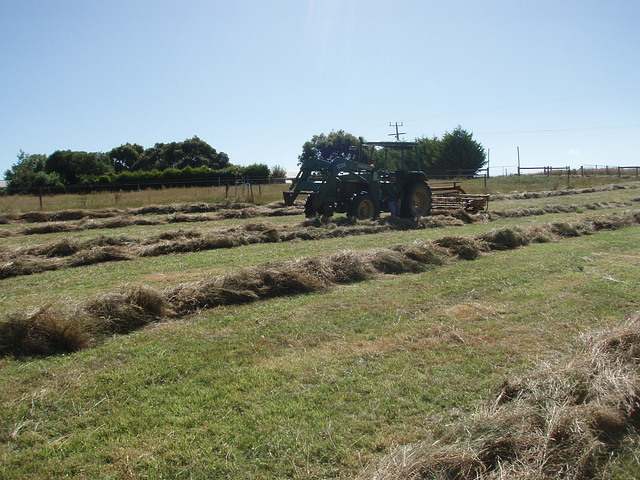 making hay while the sun shines