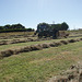 making hay while the sun shines