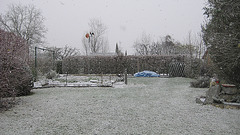 Der erste Schnee - Blick über den Garten