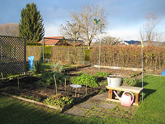 Blick über den Garten