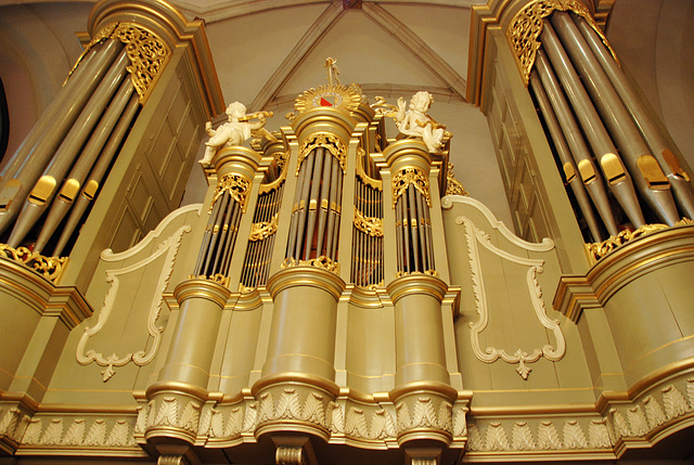 Organ of Utrecht University