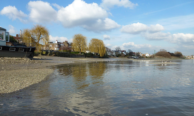 the thames at chiswick mall