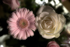 Bouquet selection