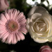 Bouquet selection