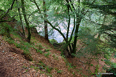 The River Divie from the cliffs,near its junction to the Findhorn