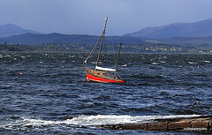 Riding at anchor - windy afternoon in the Beauly Firth