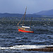 Riding at anchor - windy afternoon in the Beauly Firth