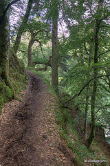 The River Findhorn walk at Randolph's Leap