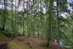 The River Findhorn walk at Randolph's Leap 6040443375 o