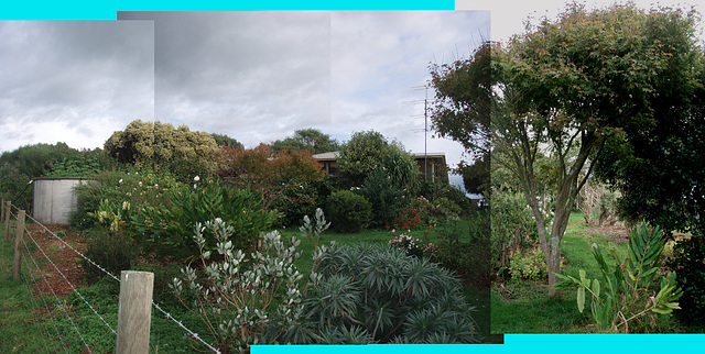 northern garden from easement