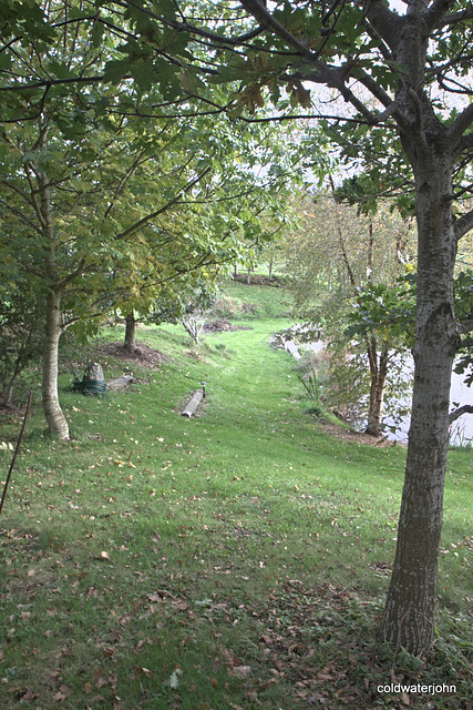 Autumn round the pond garden series