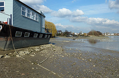 the thames at chiswick mall
