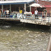 fish feeding on Chao Praya