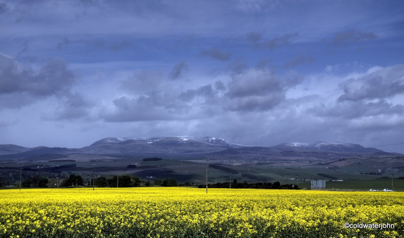 Rape field and May snows on Ben Wyvis