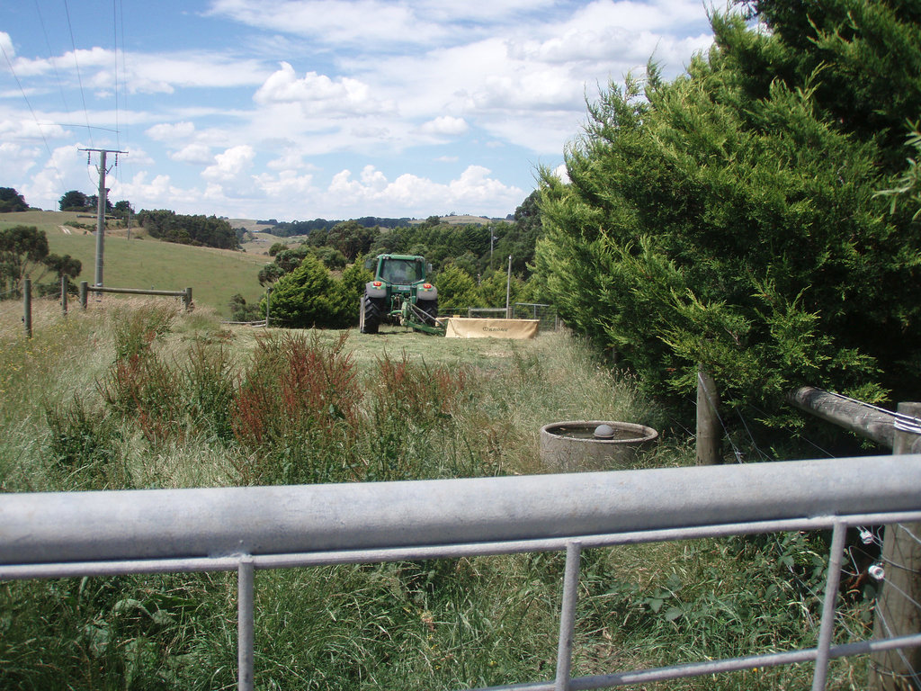 making hay while the sun shines