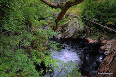 The River Findhorn walk at Randolph's Leap