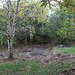 Autumn round the pond garden series