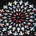 Rose de la Cathédrale dEvreux