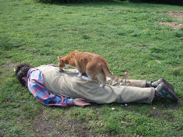 farmyard planking