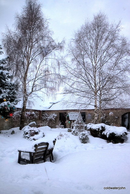 For some reason "Buried Alive" and "Avalanche" are the films which seem to come to mind, looking out the door this morning!