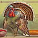 PC_TGiv_turkey3