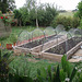 new vegie garden