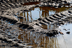 Mud and tracks