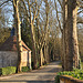 La vieille allée de platanes et le colombier du château de Courtanvaux - Sarthe