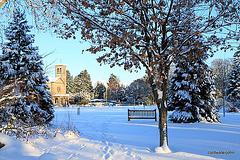 The Episcopal Church is Forees, across Grant Park 5283142083 o