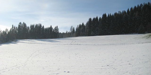 Spuren im Schnee