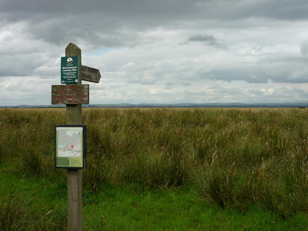 To the foreshore