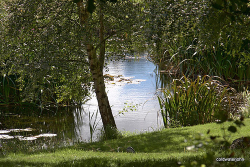 September mid afternoon  from the gazebo