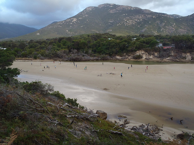 evening beach cricket