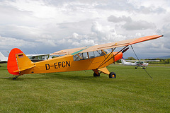 D-EFCN PA-18 Super Cub