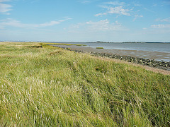 thames estuary, essex