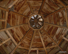 House guests in the nonagon roof beams of the gazebo