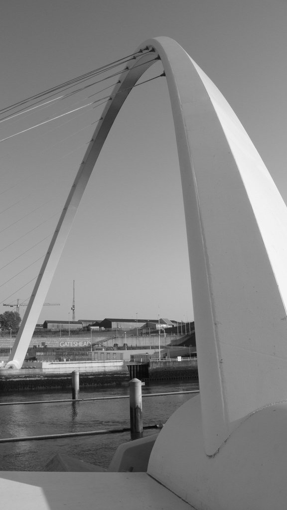 Newcastle 19