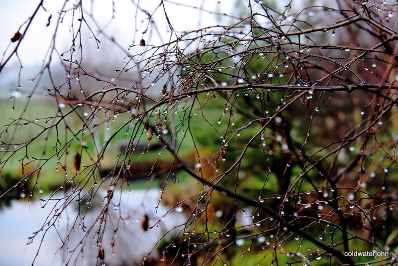 Rainy days and Mondays 5197776149 o