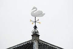 Swan as weathervane