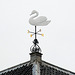 Swan as weathervane