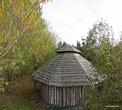 Autumn round the pond garden series