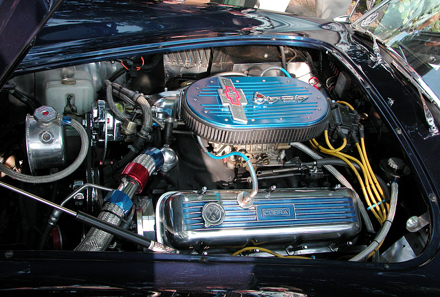 Oldtimer Day Ruinerwold: V8 1989 Dax Cobra Engine