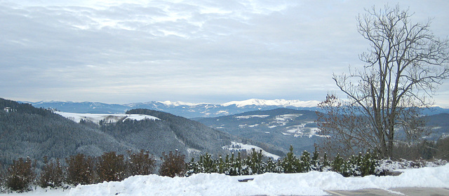 Blick von Eggen nach Norden ...