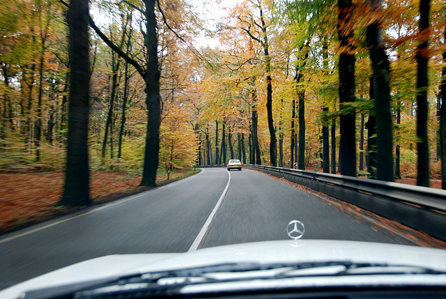 A visit to Kampen with my Mercedes Club: Autumn is upon us