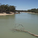 Murray River