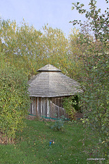 Autumn round the pond garden series