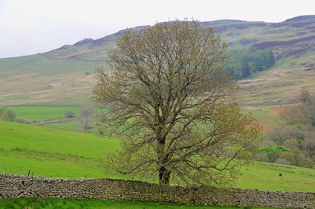 Lake District near Ullswater