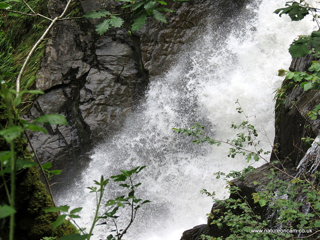 Waterfall 1