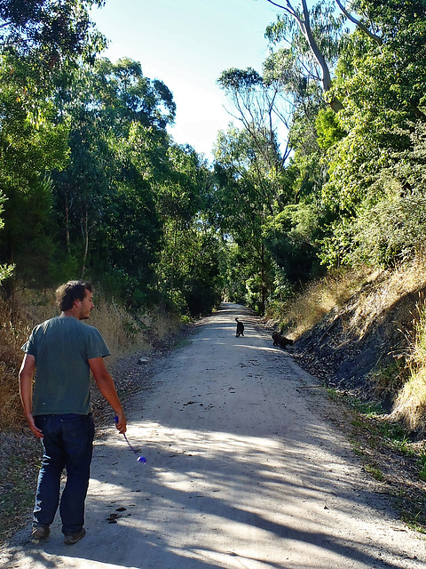 walk along the Rail Trail